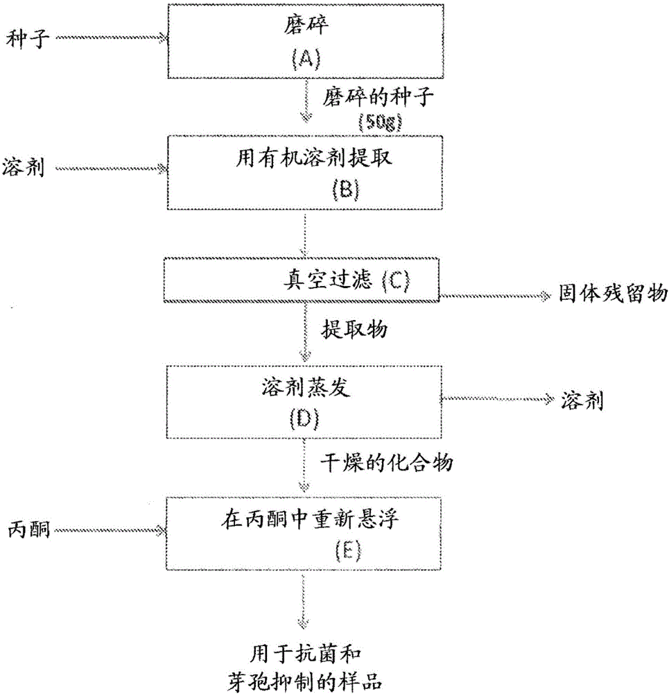 前中国女排国手霍萱突发心梗不幸离世 年仅28岁_足球即时比分(图1) 爱游戏官网