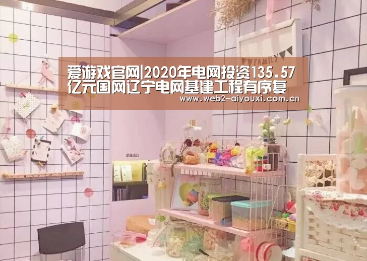 爱游戏官网|2020年电网投资135.57亿元国网辽宁电网基建工程有序